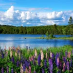 PLM&ERP News tillönskar alla läsare en riktigt skön sommar!