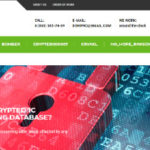 IT-konsult samarbetar med ”ransome ware-utpressare”