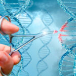 FoU: SSF satsar 30 miljoner på 2021 års industridoktorand-projekt – här är hela listan